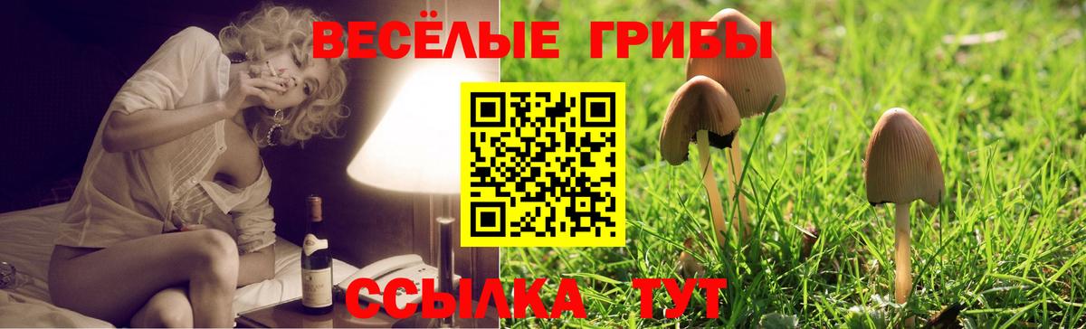 Пыть-Ях  Галлюциногенные грибы Cubensis  Вход с VPN  Псилоцибиновые грибы прущие грибы 
